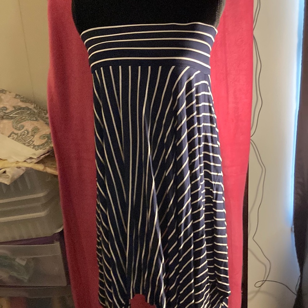Cabi Ladies Dress / Skirt